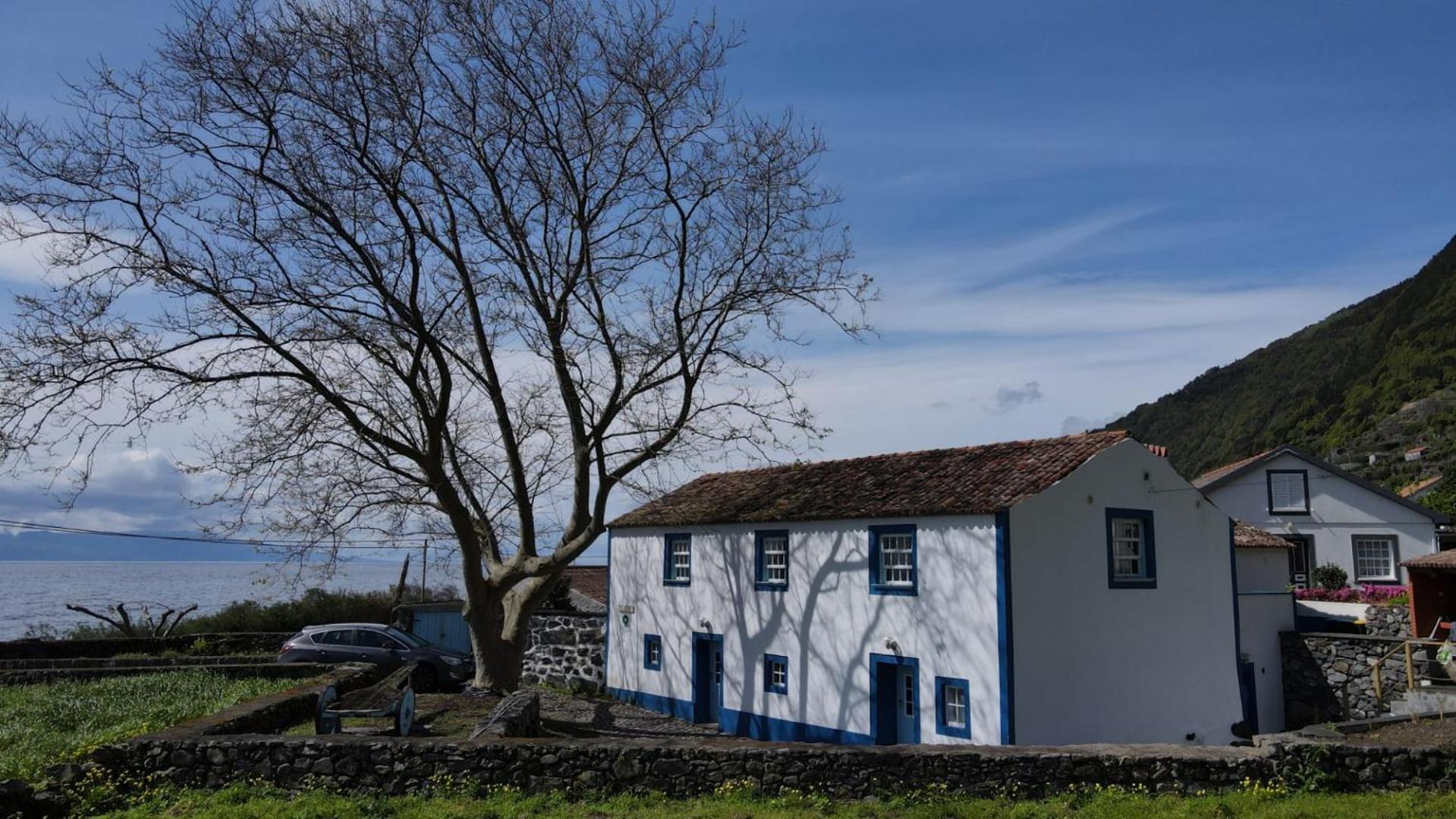 Вилла Casas Dos Vimes Faja dos Vimes Экстерьер фото
